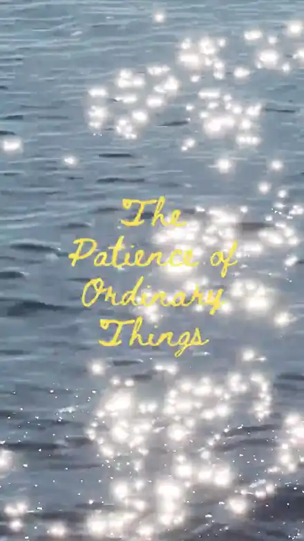Motion piece, The Patience of Ordinary Things